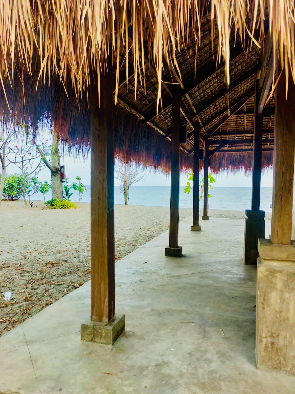 Brisa Beachside Retreat — 外観と竹のアプローチ